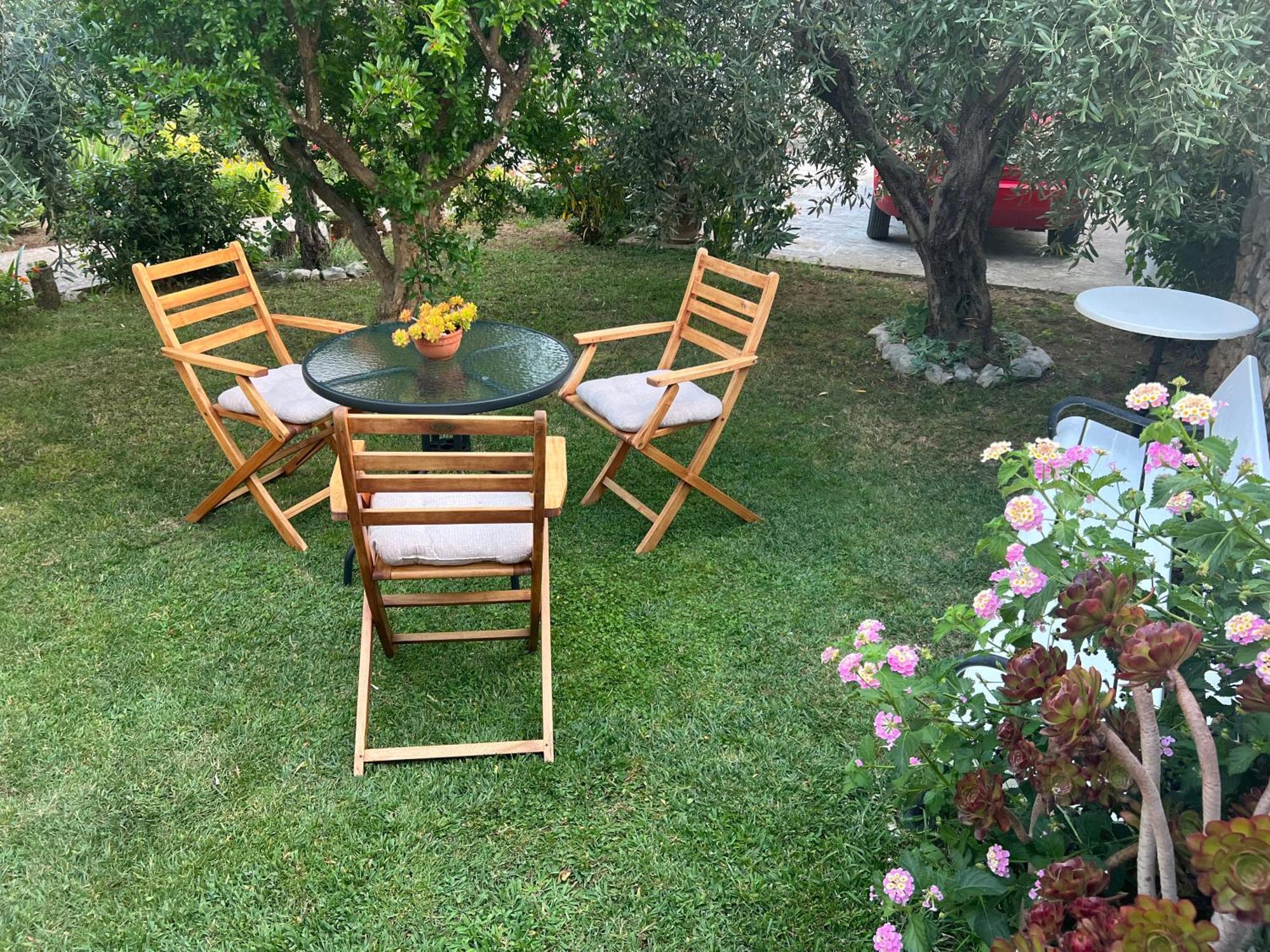 Olive Grove Apartment Vodice Exterior photo